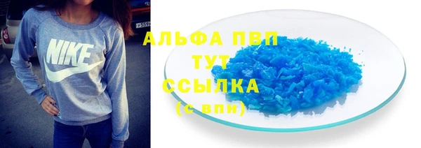прущие грибы Аркадак