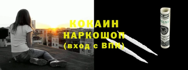 прущие грибы Аркадак