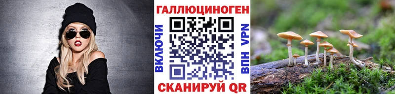 Галлюциногенные грибы Psilocybe  Белорецк 