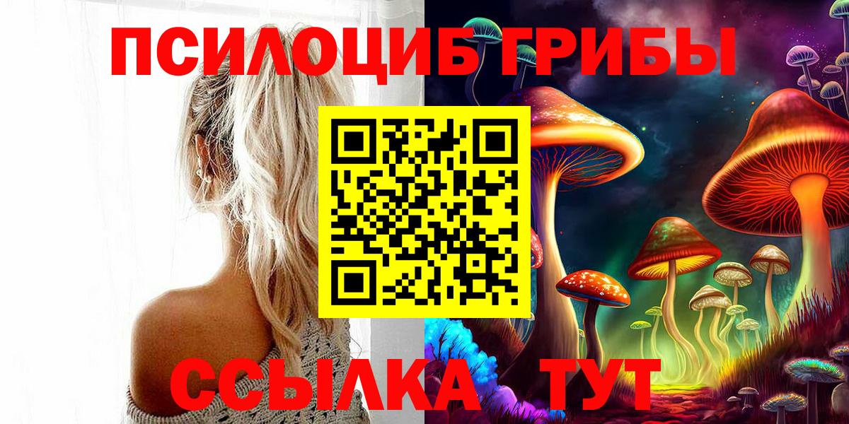 Галлюциногенные грибы Psilocybine cubensis  Вход с VPN  Белорецк 