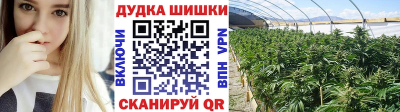 mega ссылка  Белорецк  Конопля OG Kush 